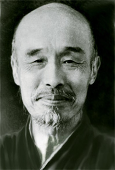 һʦ鷨ռ