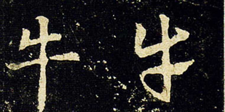 ţ