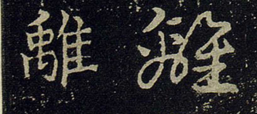 �x