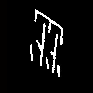 ϸ