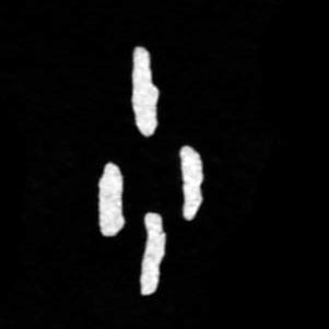ϸ