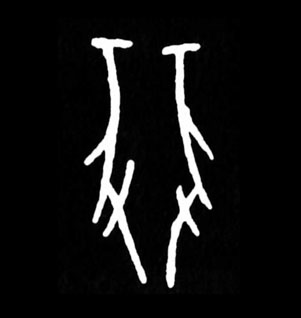 ϸ
