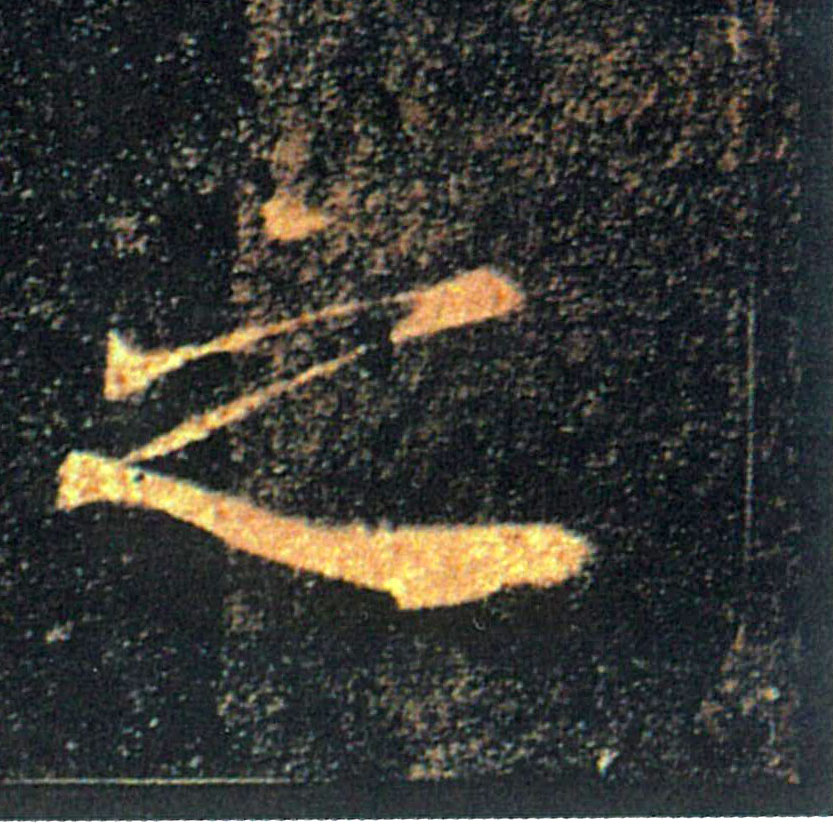 �������ϸ����