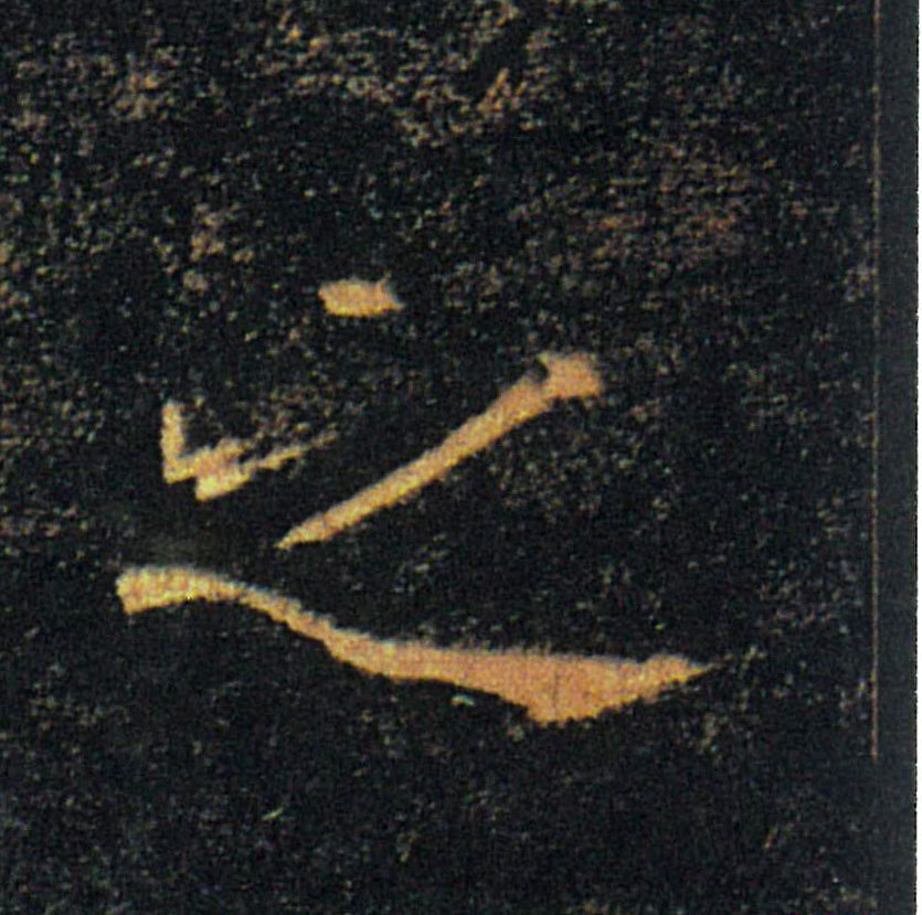 �������ϸ����