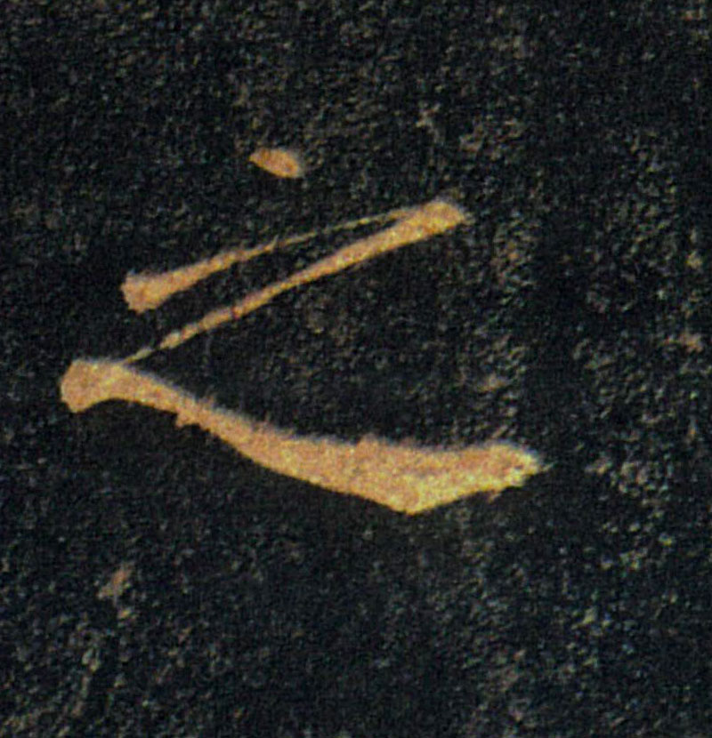 �������ϸ����