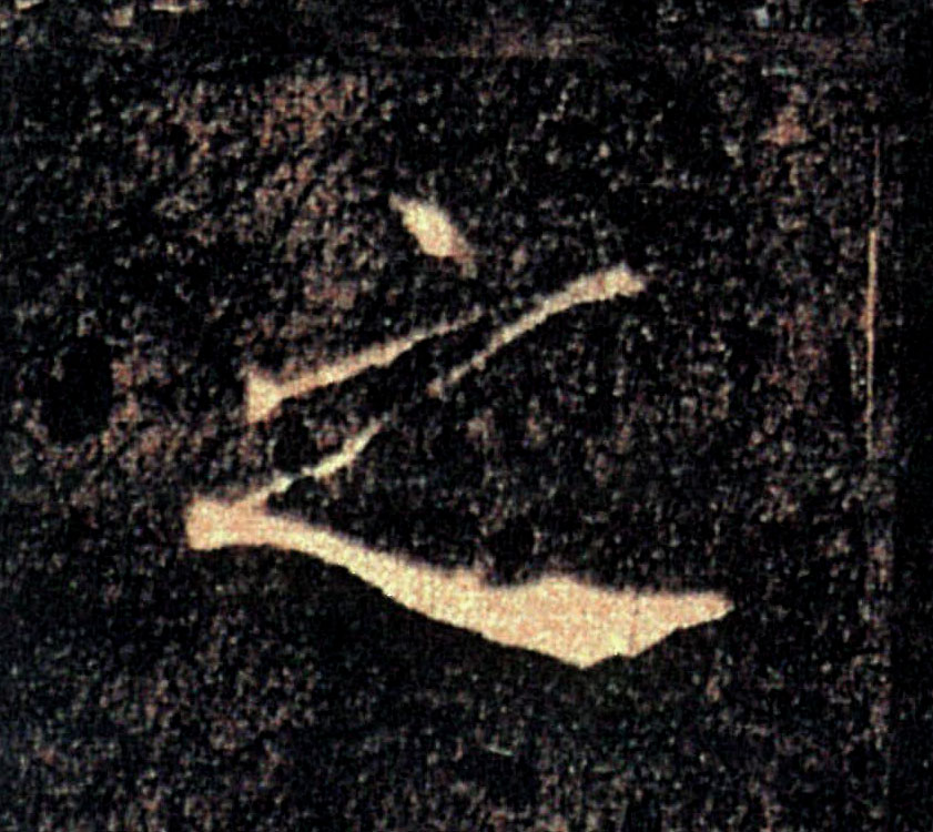 �������ϸ����