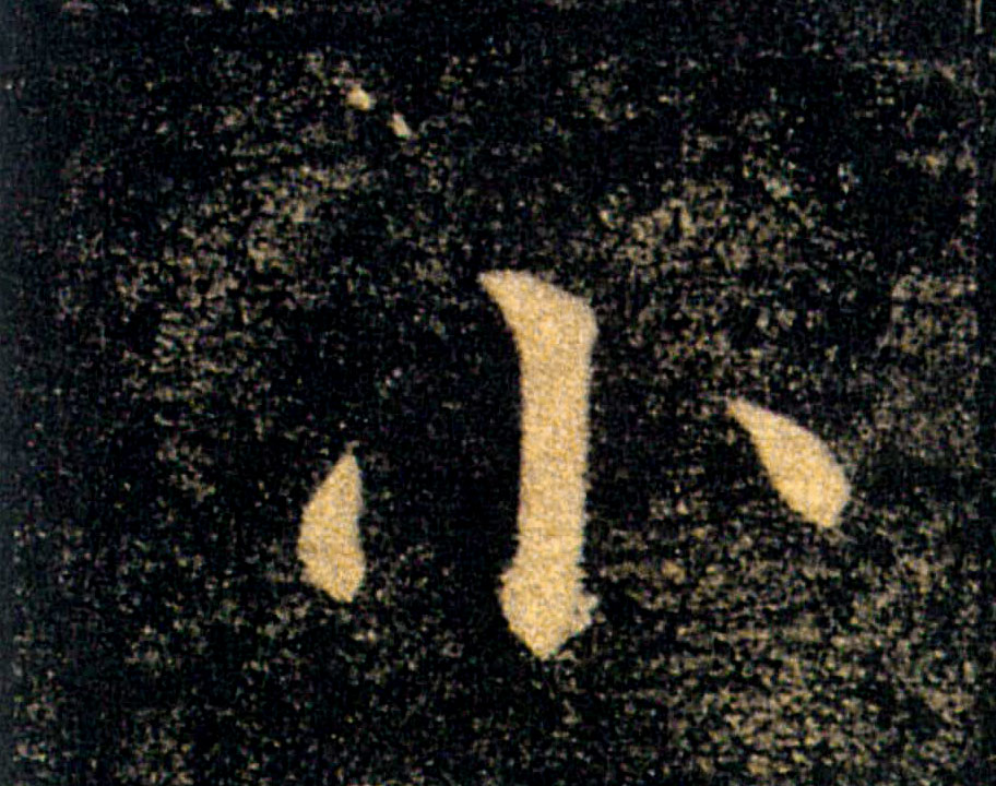 �������ϸ����