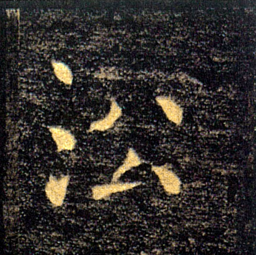 �������ϸ����