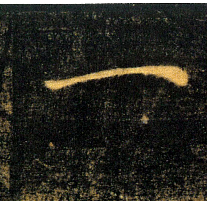 �������ϸ����