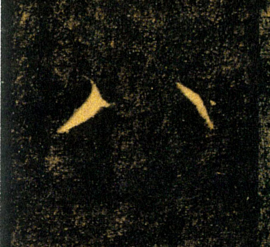 �������ϸ����