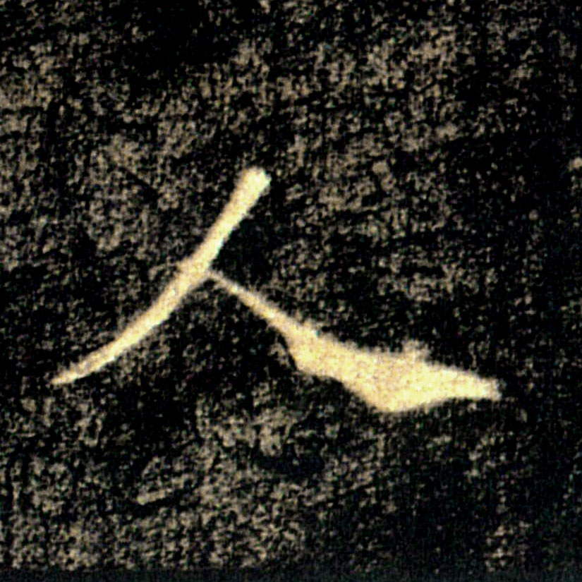 �������ϸ����