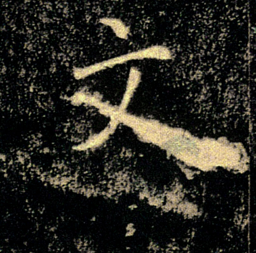 �������ϸ����