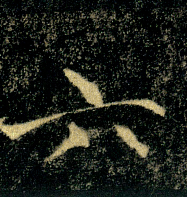 �������ϸ����