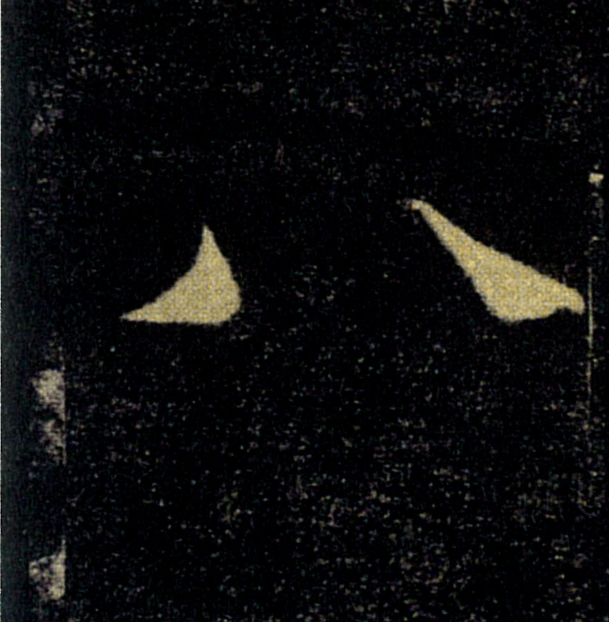 �������ϸ����