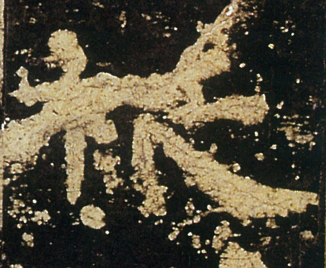 �������ϸ����