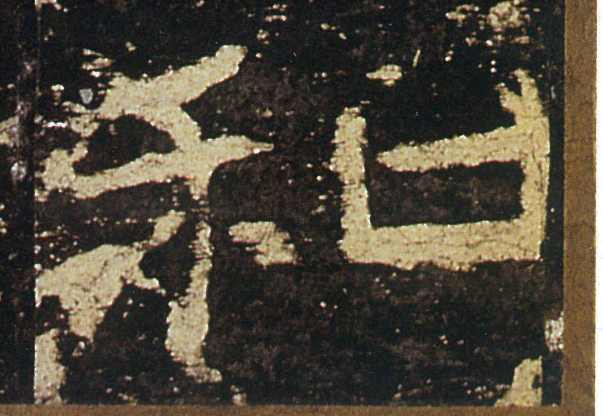 �������ϸ����