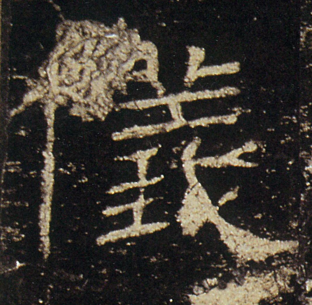 �������ϸ����