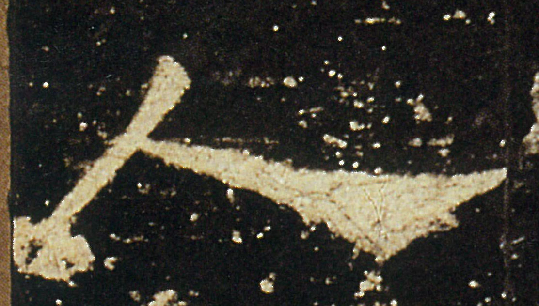 �������ϸ����