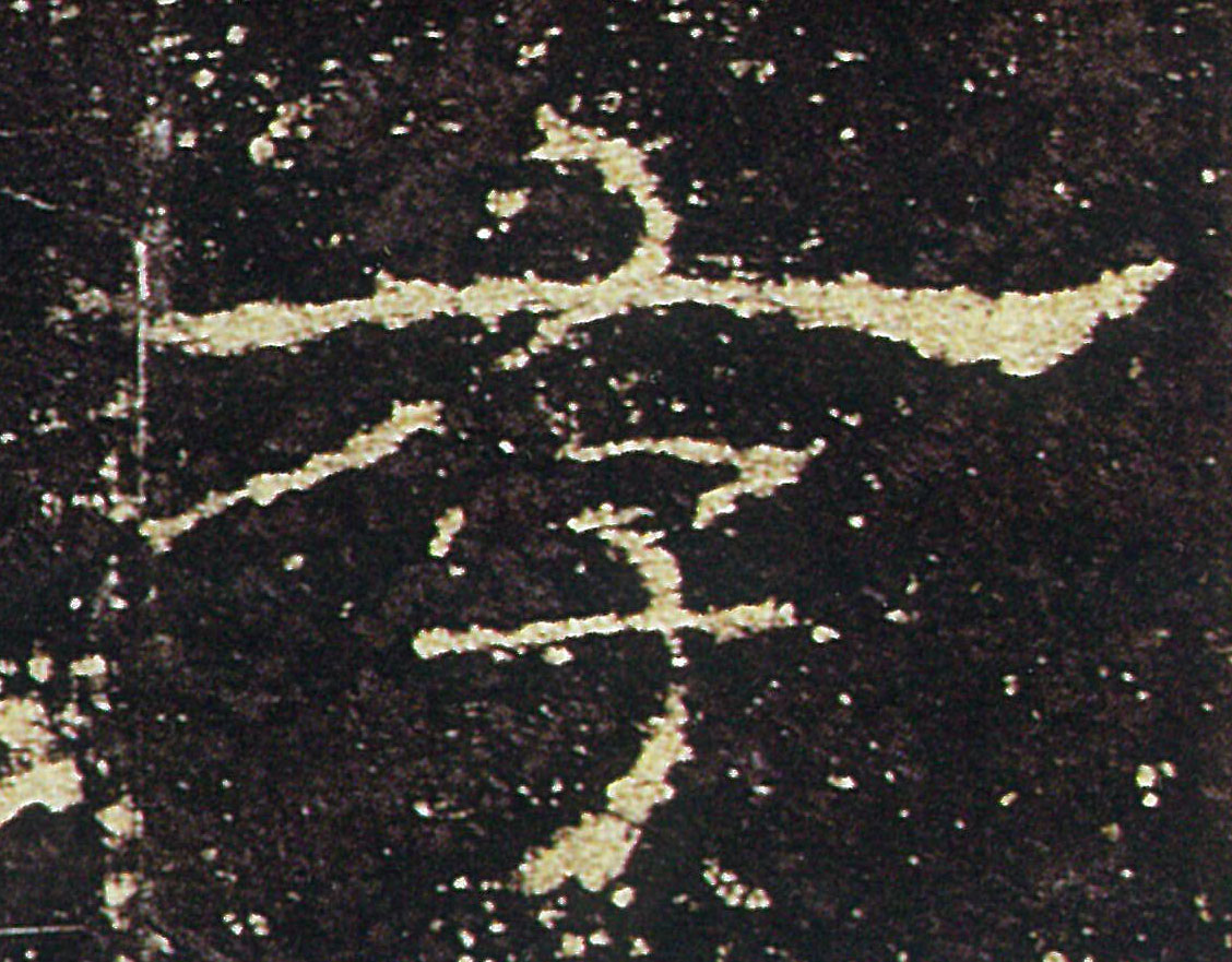 �������ϸ����