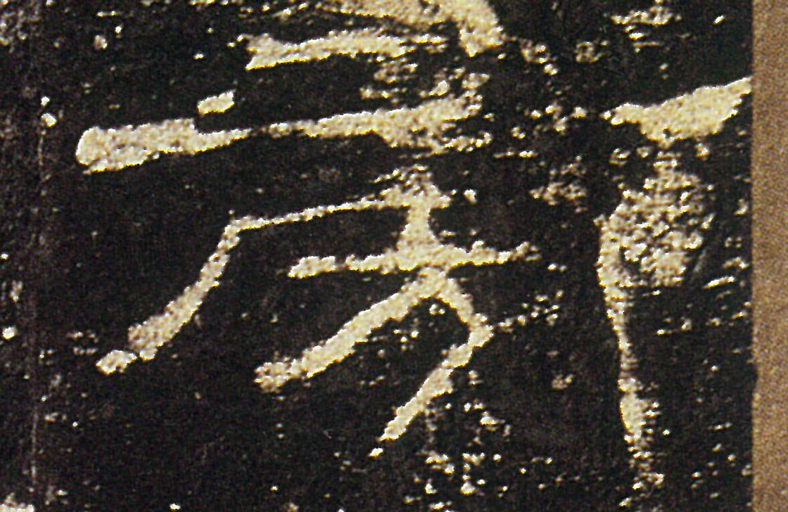 �������ϸ����