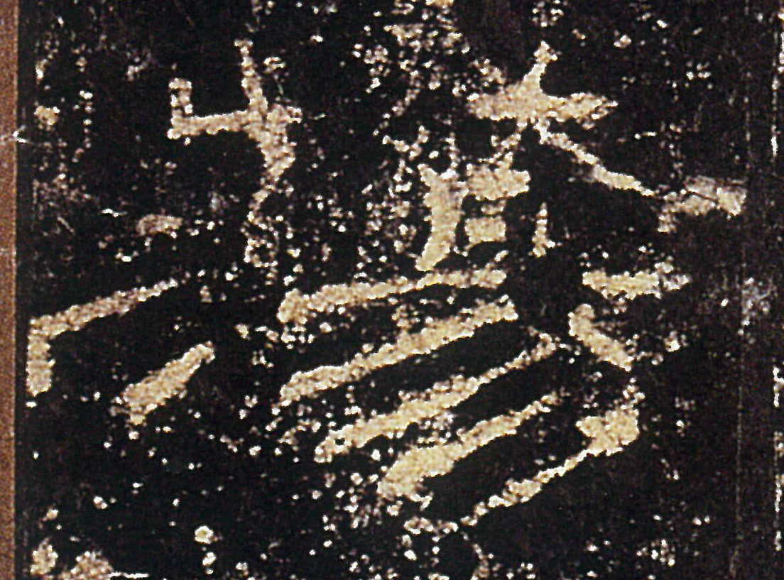 �������ϸ����