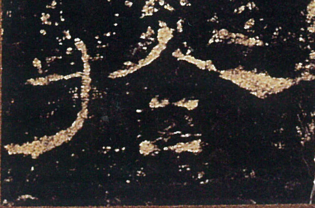 �������ϸ����