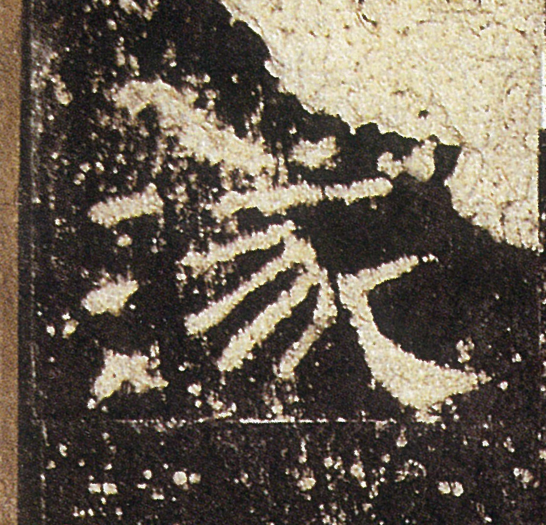 �������ϸ����