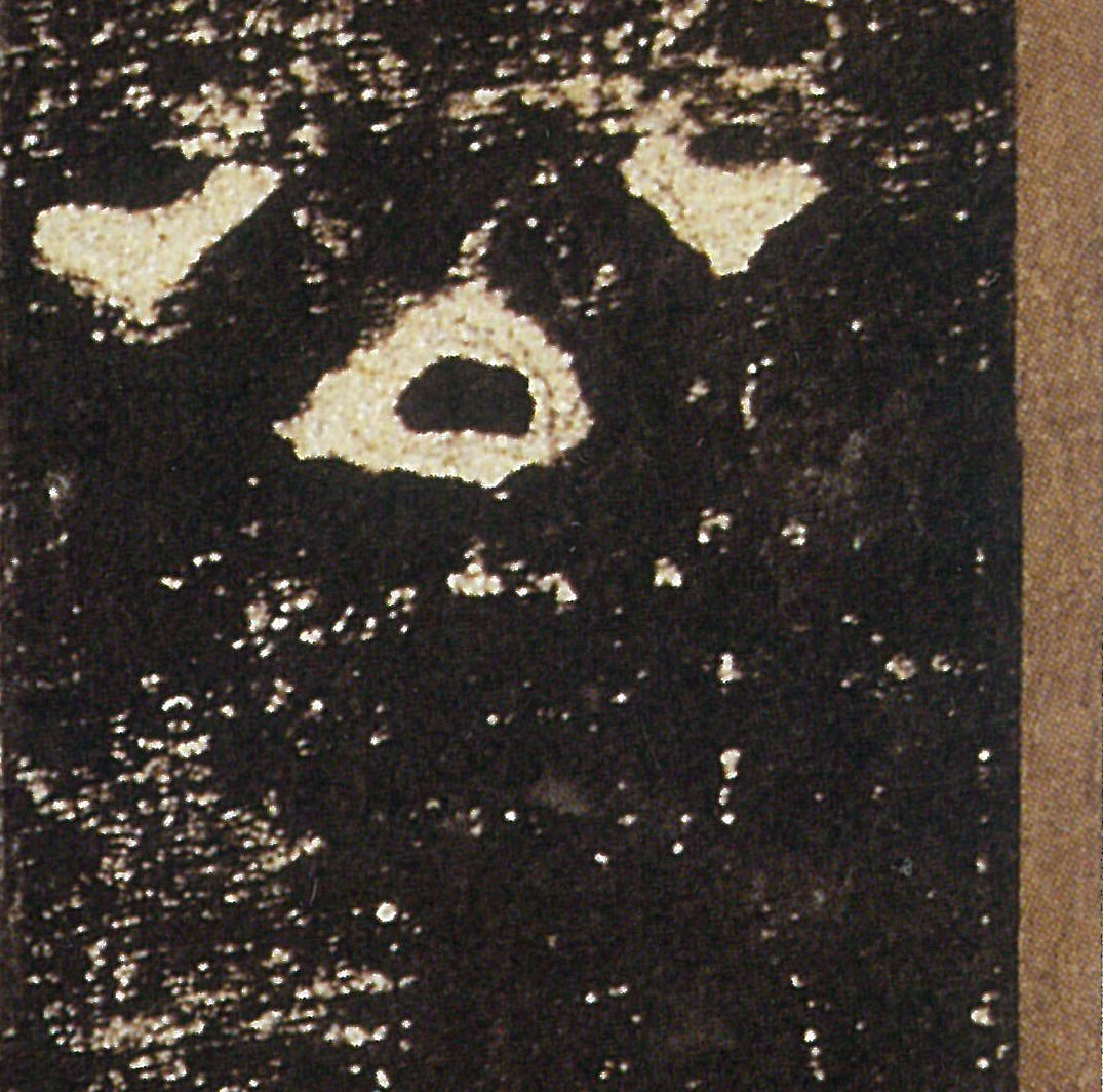 �������ϸ����