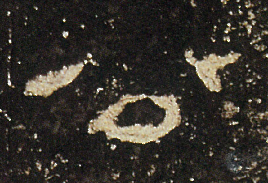 �������ϸ����