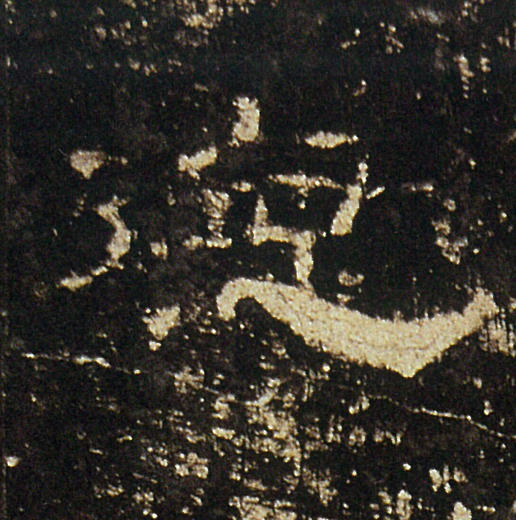 �������ϸ����