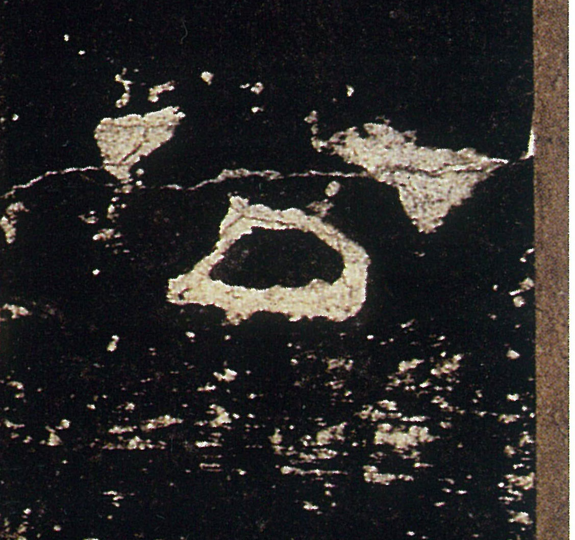 �������ϸ����