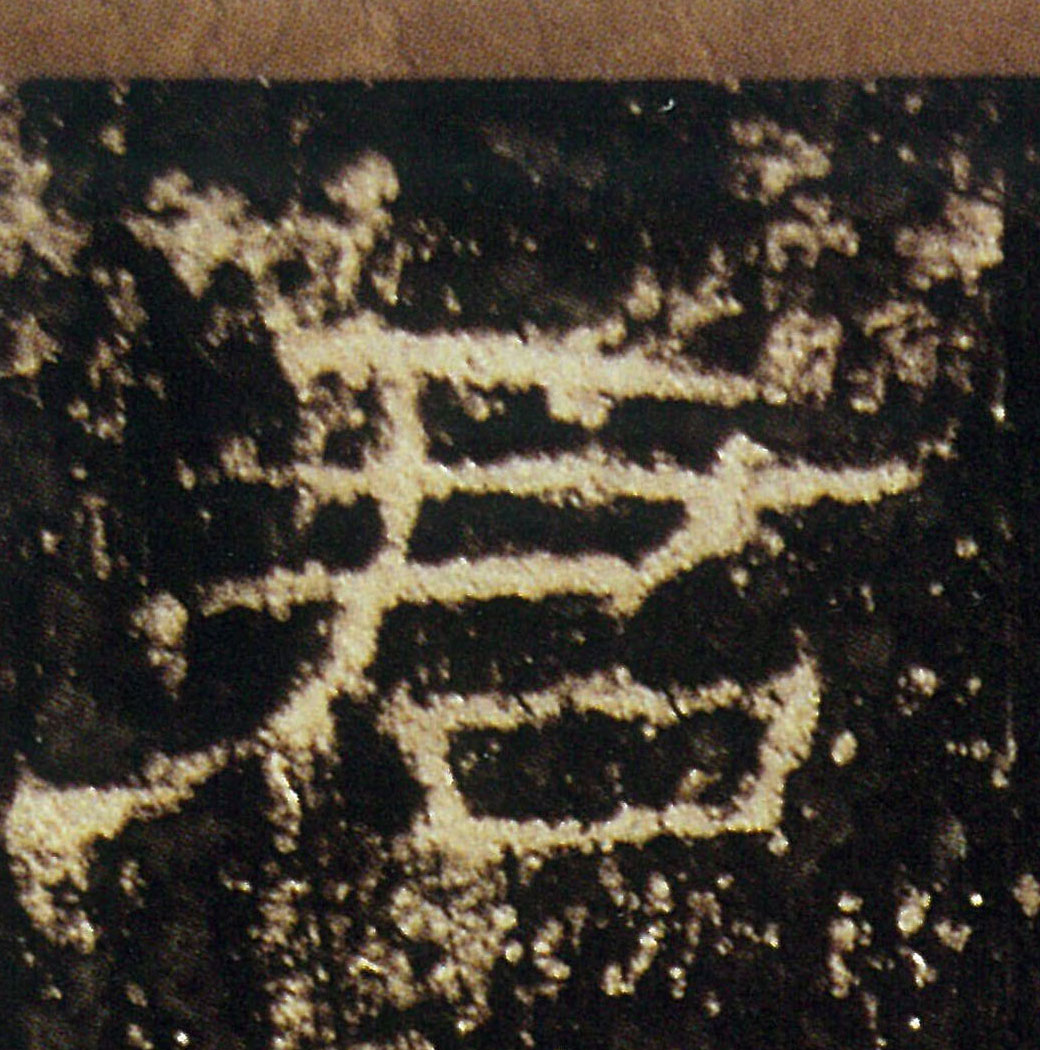 �������ϸ����