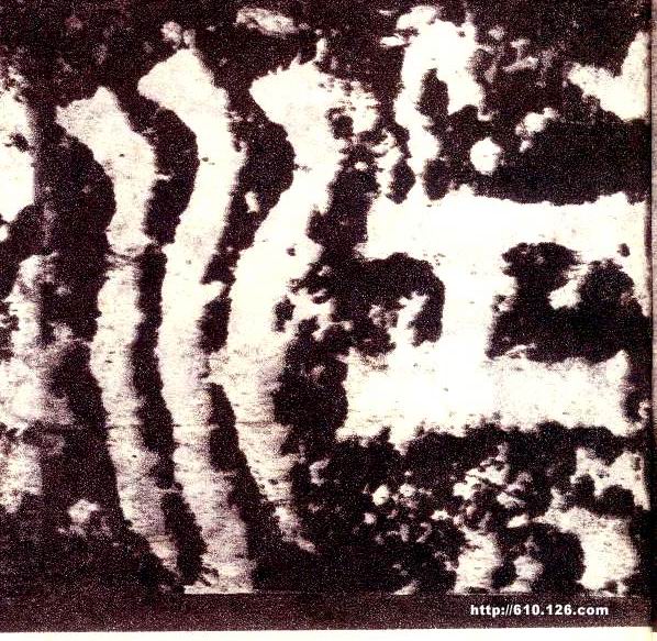 ϸ