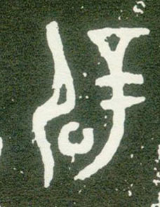 �������ϸ����