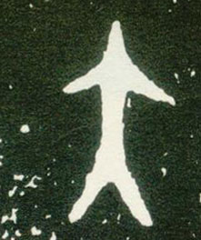 �������ϸ����