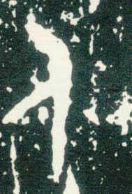 �������ϸ����