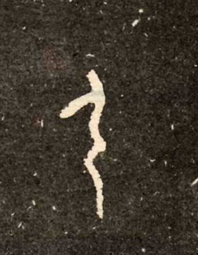 ϸ