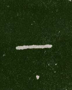 ϸ