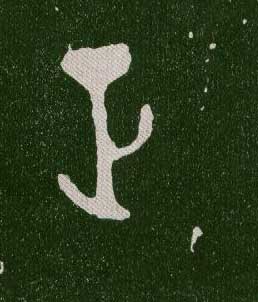 ϸ