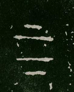 ϸ