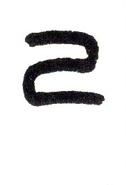 ϸ