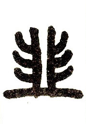 ϸ