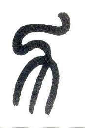 ϸ
