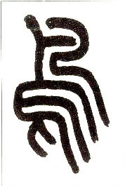 ϸ