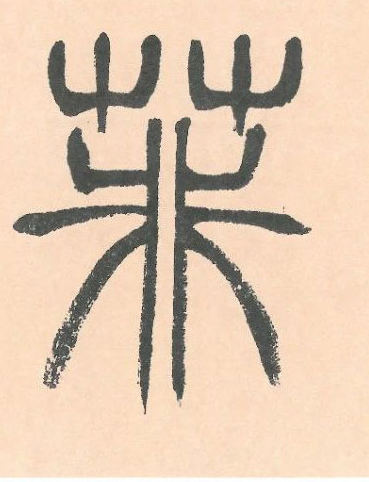 �������ϸ����