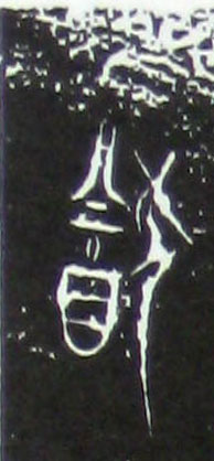 ϸ