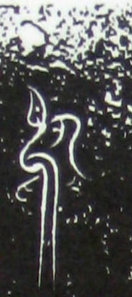 ϸ