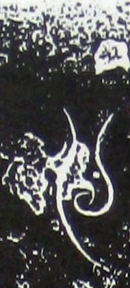 ϸ