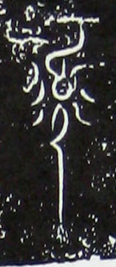 ϸ