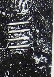 ϸ